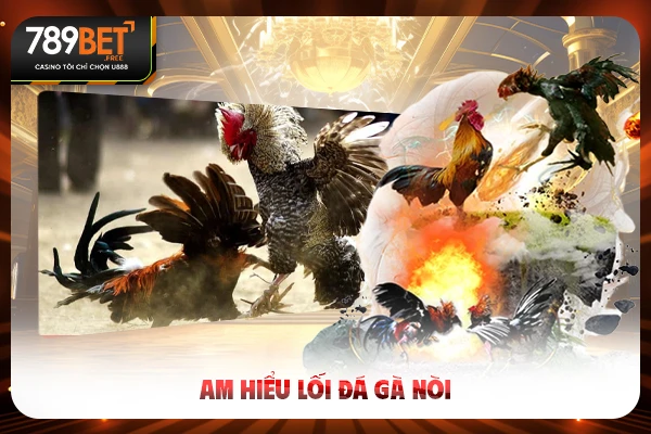 Am hiểu lối gà chọi nòi