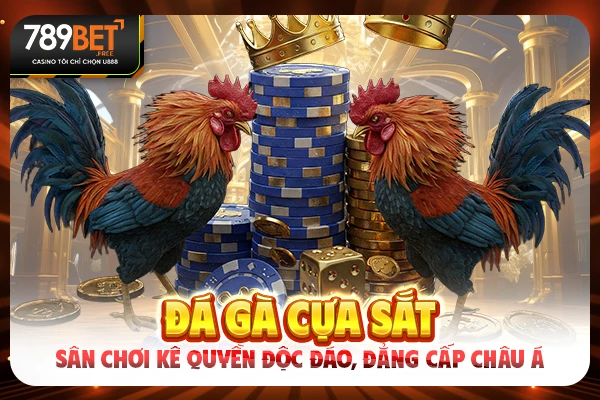 Đá Gà Cựa Sắt - Sân Chơi Kê Quyền Độc Đáo, Đẳng Cấp Châu Á