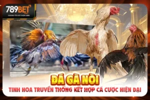 Đá Gà Nòi - Tinh Hoa Truyền Thống Giới Chọi Kê Online 2025