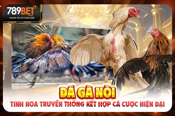 Đá Gà Nòi - Tinh Hoa Truyền Thống Giới Chọi Kê Online 2025