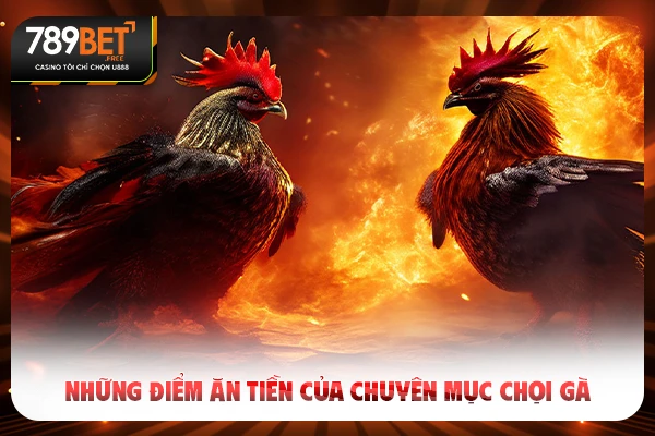 Những điểm ăn tiền của chuyên mục chọi gà