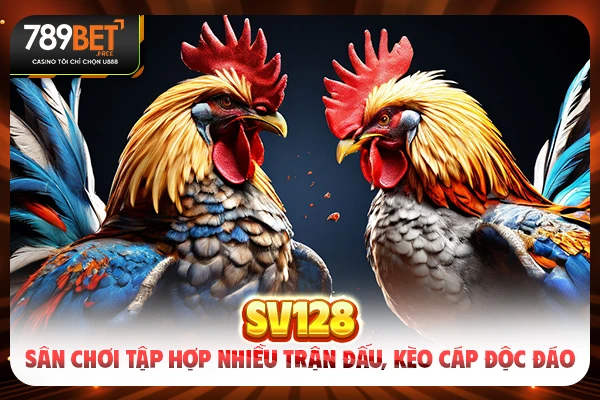 SV128 - Sân Chơi Tập Hợp Nhiều Trận Đấu, Kèo Cáp Độc Đáo