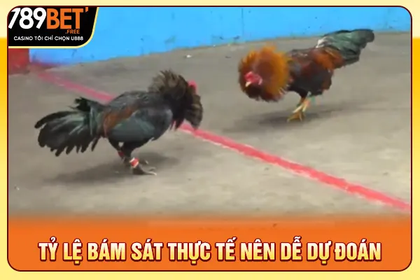 Tỷ lệ bám sát thực tế nên dễ dự đoán