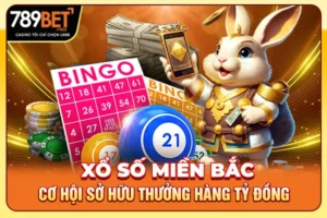 Xổ Số Miền Bắc - Cơ Hội Sở Hữu Thưởng Hàng Tỷ Đồng